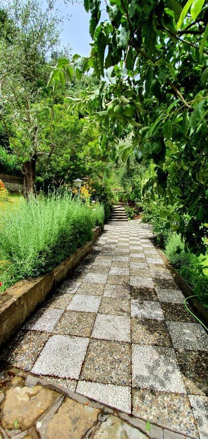 Casa Gaia Bio Vacanze Sorrento