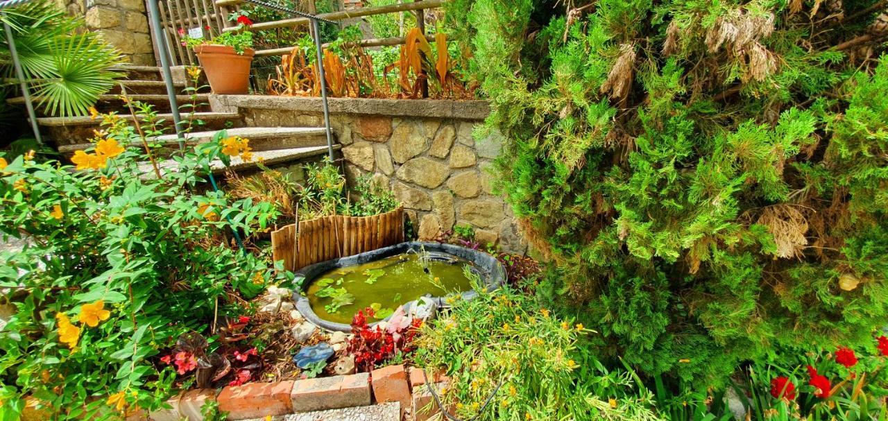 Bed & Breakfast Casa Gaia Bio Vacanze Sorrento