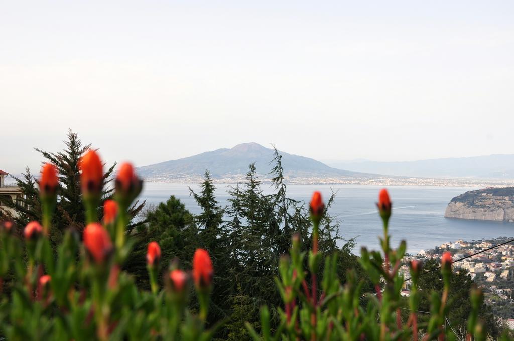 Casa Gaia Bio Vacanze Sorrento