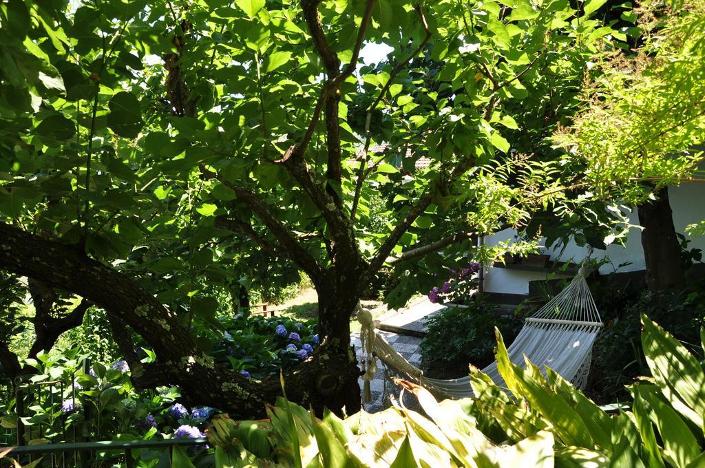 Bed & Breakfast Casa Gaia Bio Vacanze