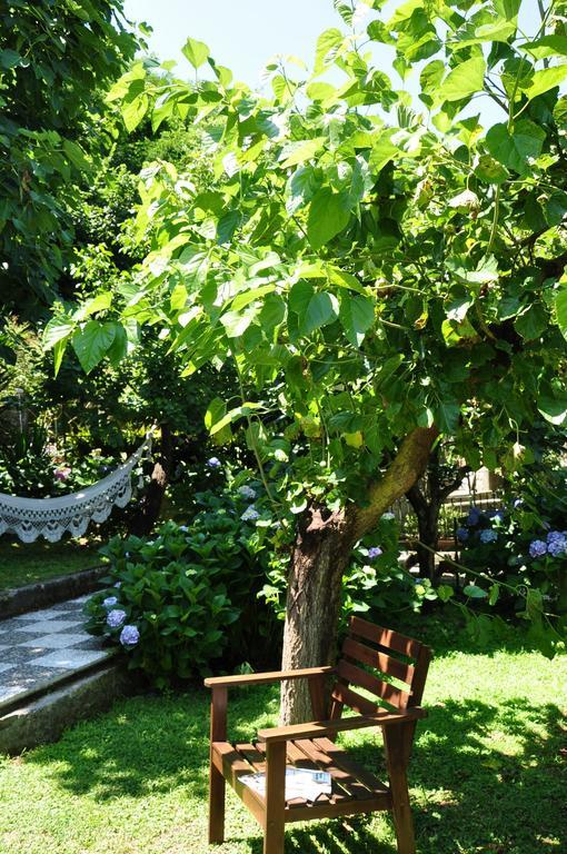 Casa Gaia Bio Vacanze Sorrento