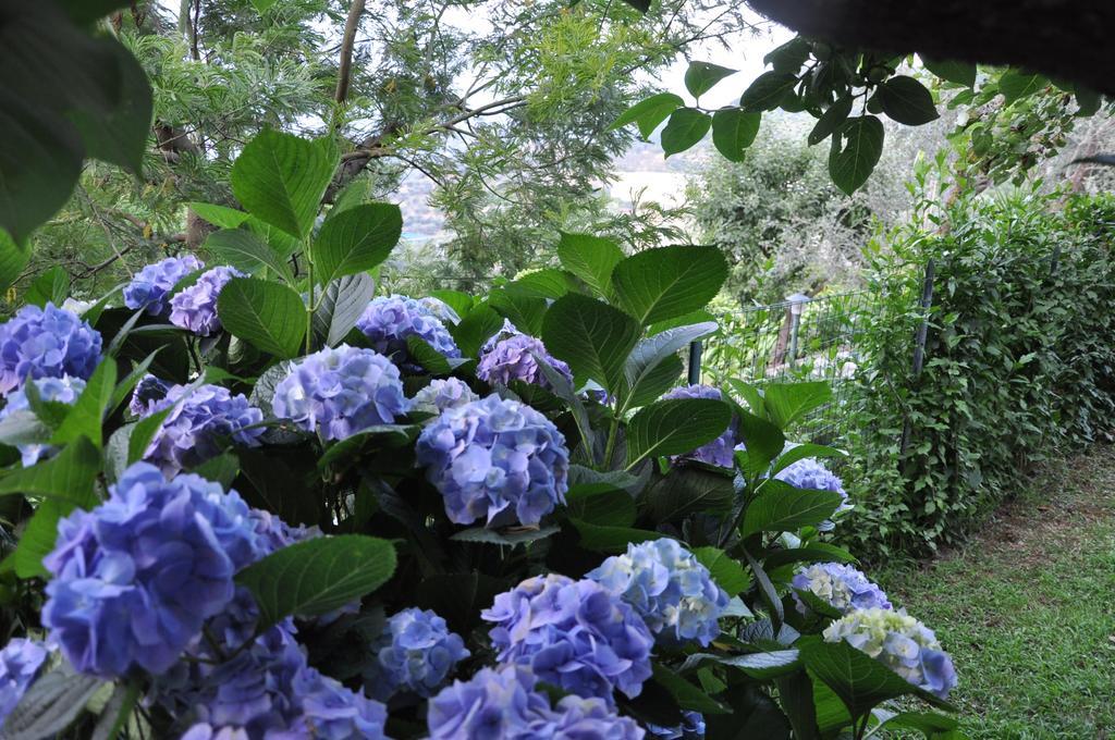Bed & Breakfast Casa Gaia Bio Vacanze *
