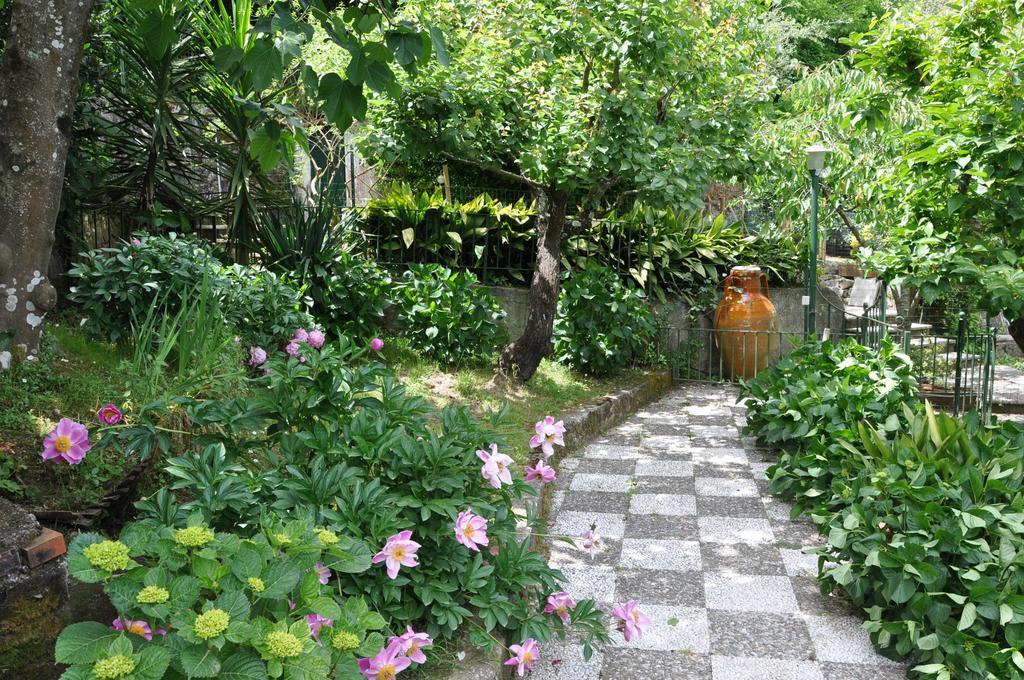 Bed & Breakfast Casa Gaia Bio Vacanze *