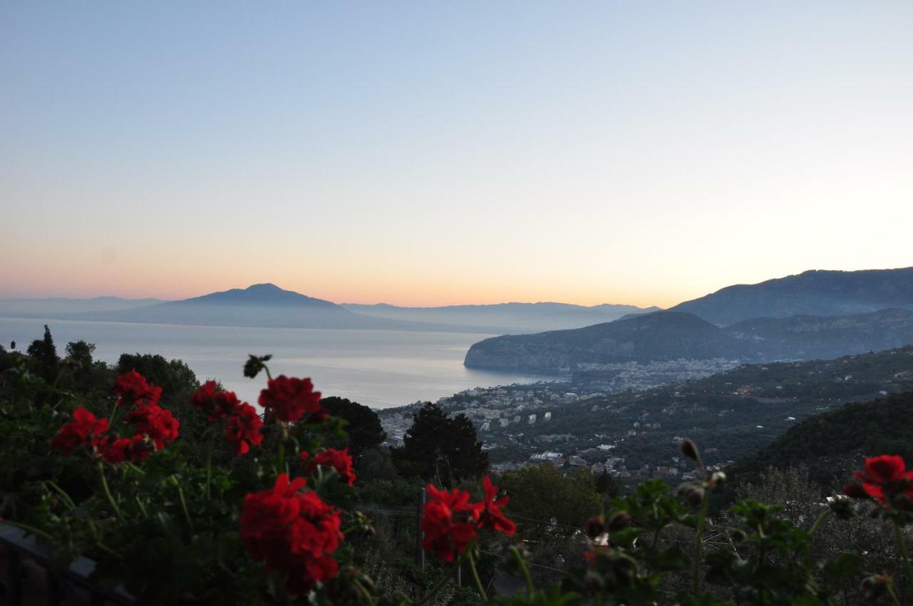Casa Gaia Bio Vacanze Sorrento