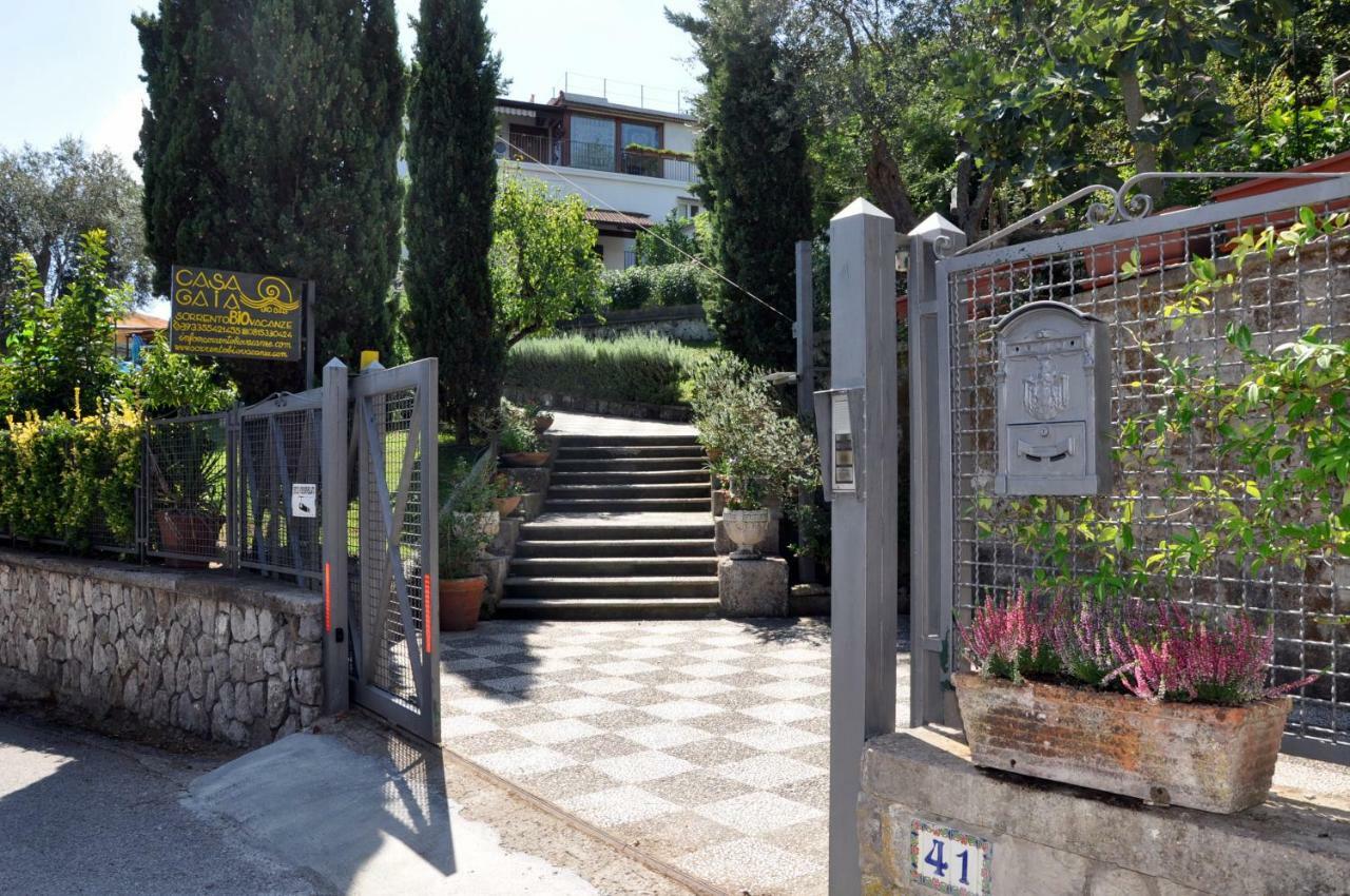 Casa Gaia Bio Vacanze Bed & Breakfast